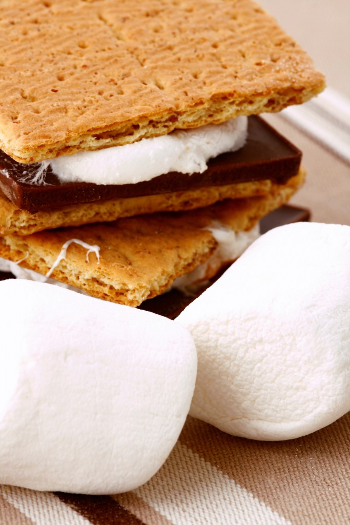Microwavable S'mores Campfire Marshmallows
