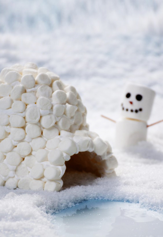 Frosted Igloo and Snowman | Campfire Marshmallows