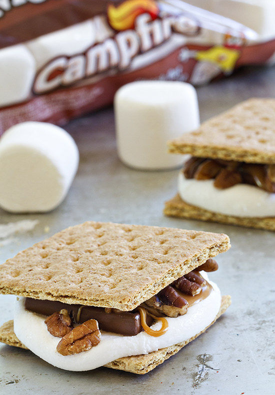 Campfire Turtle S'mores