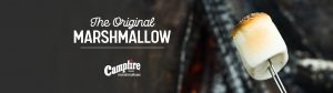 roasting a marshmallow with campfire's old logo