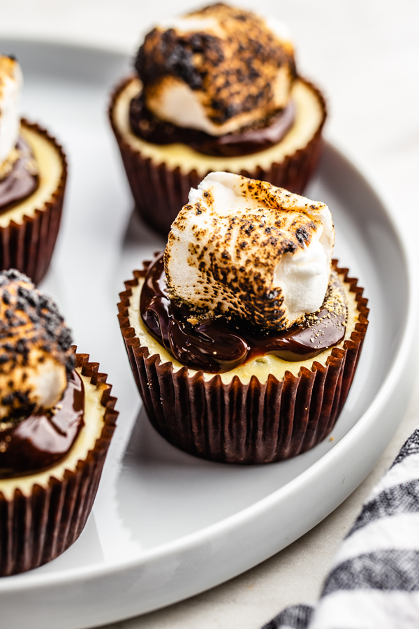 Mini S'mores Cheesecakes in cupcake liners