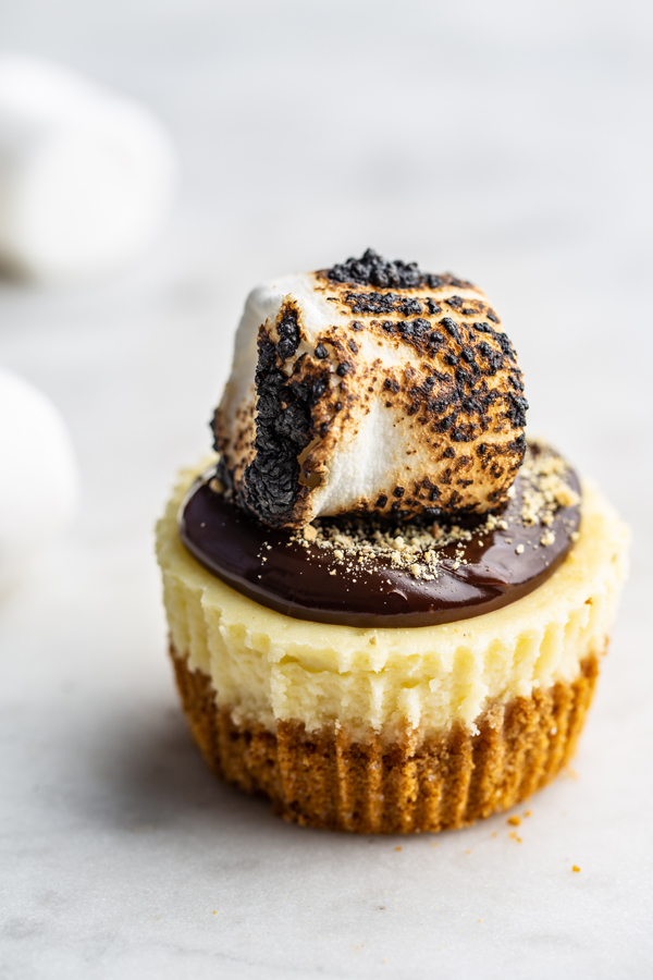 Mini S'mores Cheesecake with marshmallows in background